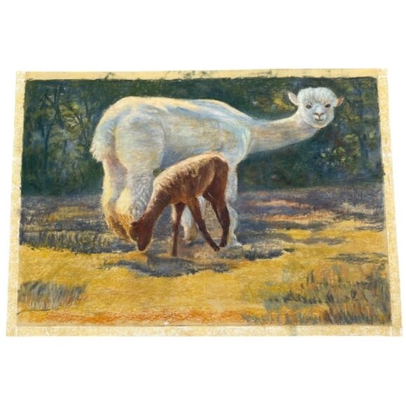 Original Pastel Drawing Of white & brown Alpacas Grazing In Field farming READ - Picture 1 of 5